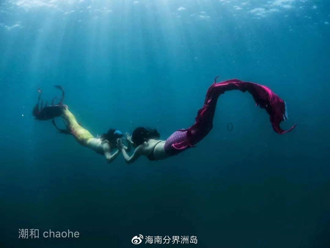 2023年超八成便利店企业销售额同比增长